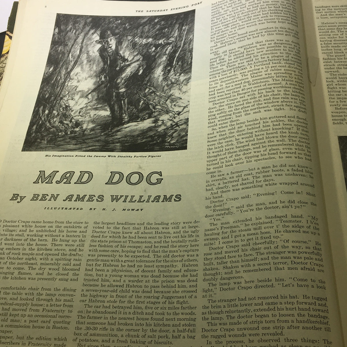 Story page from VTG The Saturday Evening Post November 17 1934 featuring 'Mad Dog' by Ben Ames Williams with illustrative art.