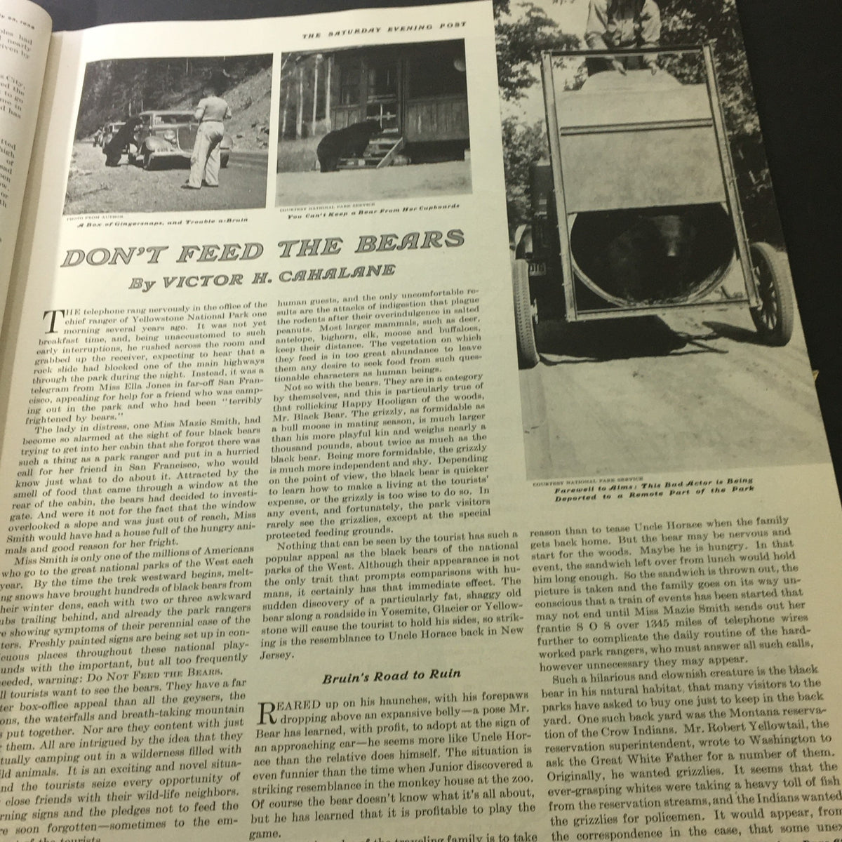 Image presenting the article 'Don't Feed the Bears' from VTG The Saturday Evening Post July 23 1938, illustrating a humorous narrative about bear encounters in national parks.