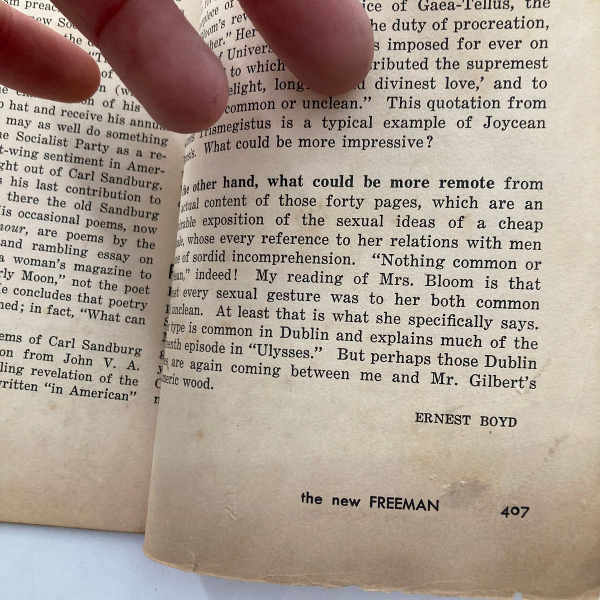 Another interior page of VTG The New Freeman Magazine January 7, 1931, showcasing the text discussing literary analysis, with organic inserts and vintage typography reflecting its historical context.