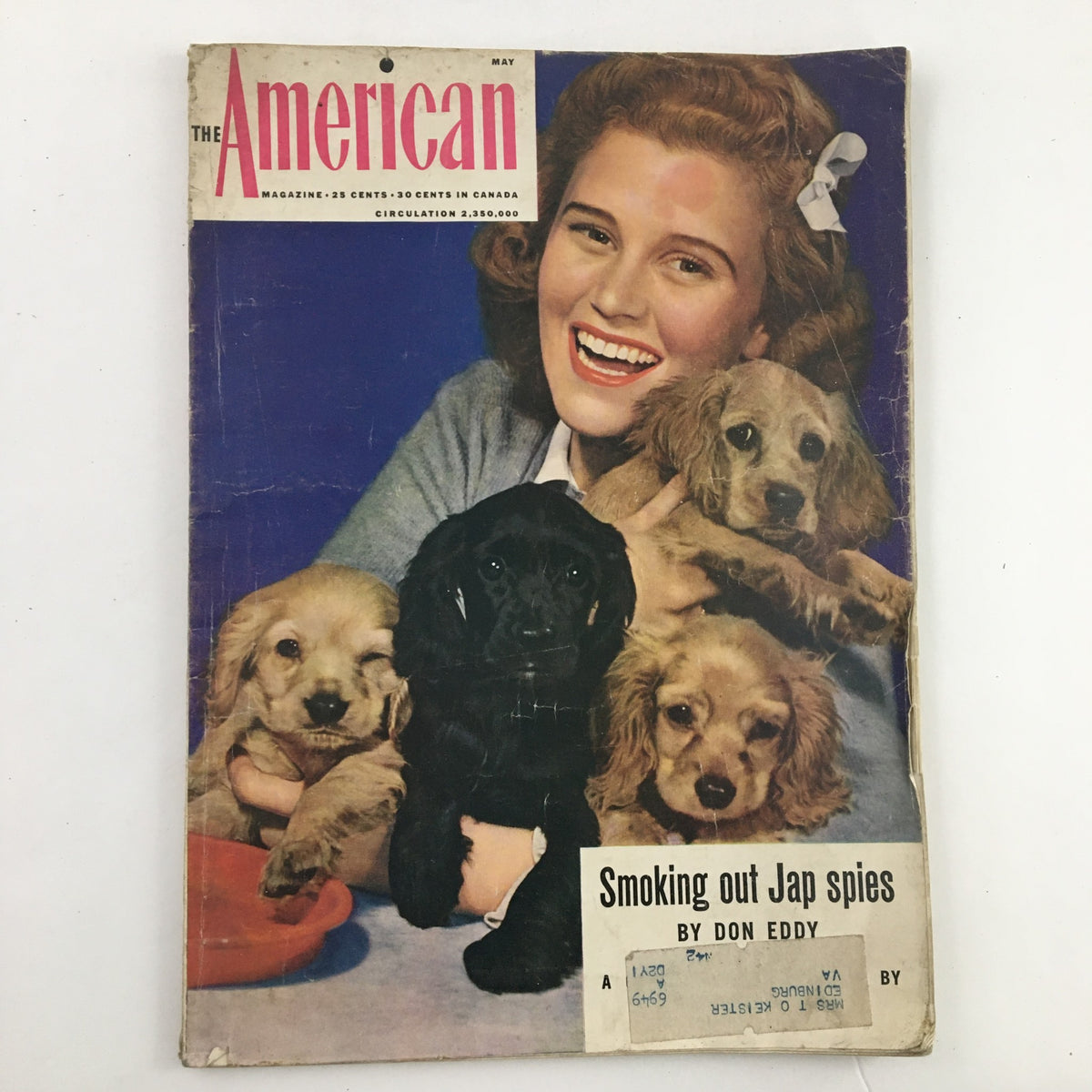 Cover of The American Magazine from May 1942 featuring Joan Caulfield smiling with Cocker Spaniel puppies, showcasing a blend of vintage Americana and charm.