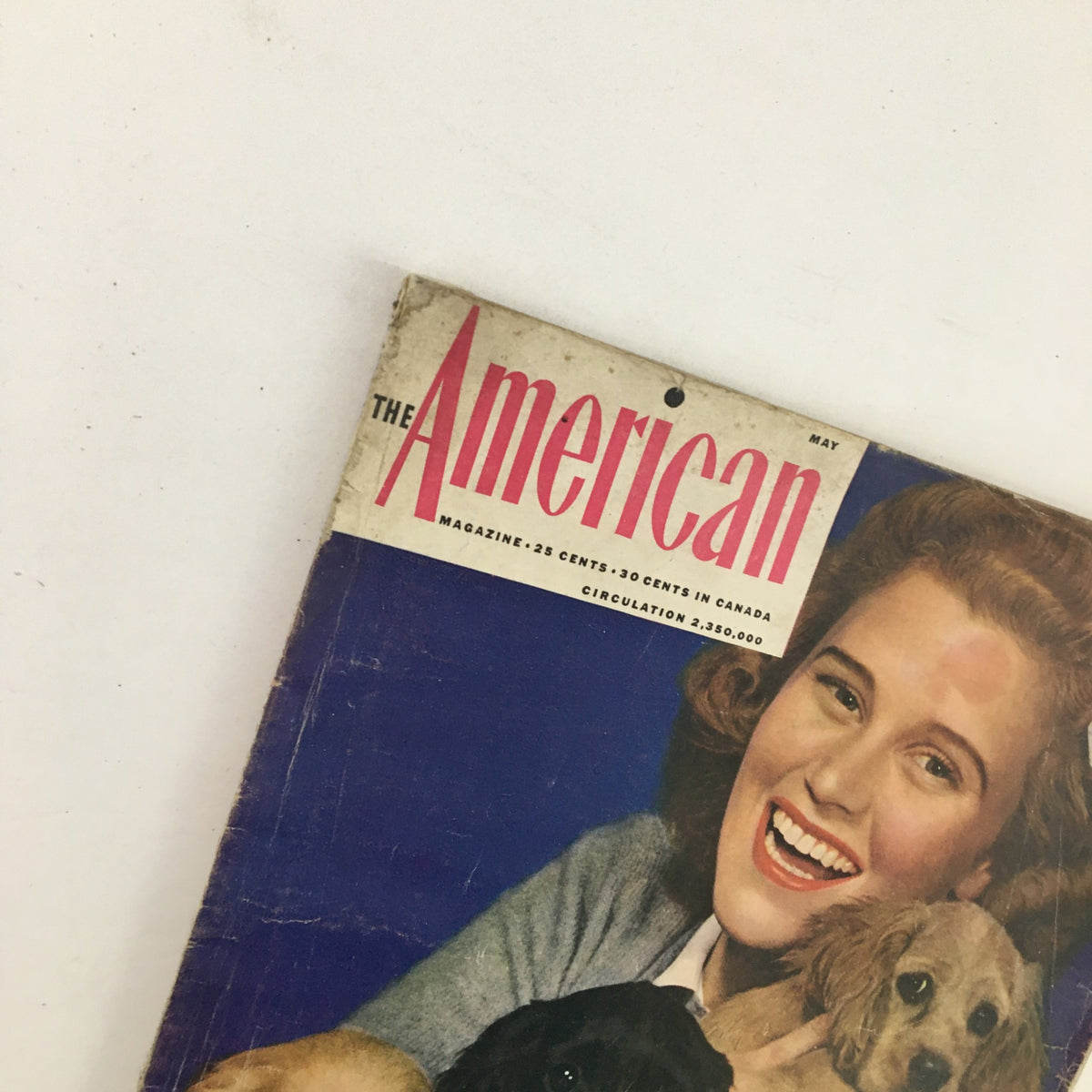 Close-up of The American Magazine May 1942 cover highlighting Joan Caulfield and Cocker Spaniel puppies, capturing the essence of classic nostalgia.