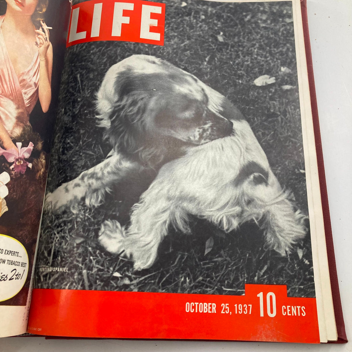 Cover of VTG 1937 Bound Life Magazine featuring two hunting spaniels, reflecting animal themes, dated October 25, 1937.
