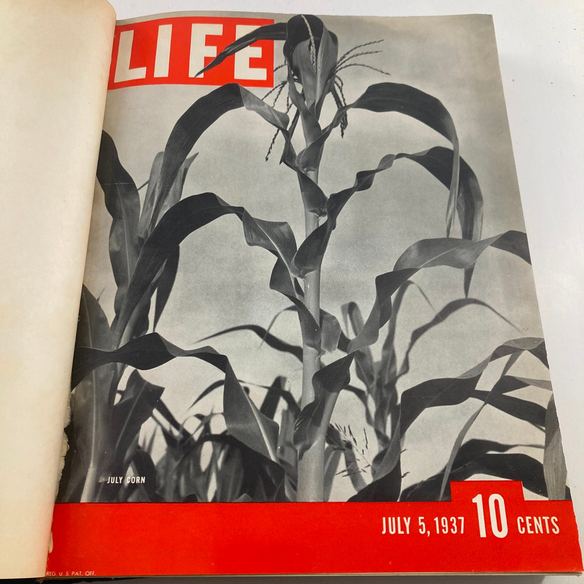 Inside view of the VTG 1937 Bound Life Magazine displaying the July 5, 1937 cover featuring corn plants, capturing a classic black and white photography style.