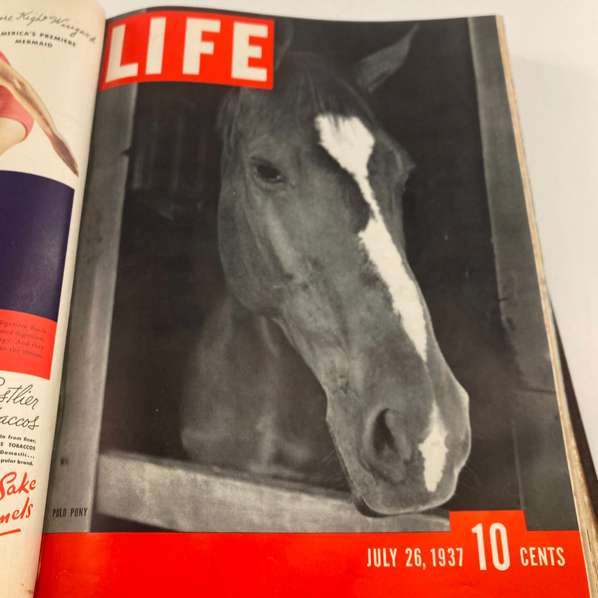 VTG 1937 Bound Life Magazine Cover showcasing a close-up of a horse, dated July 26, 1937.