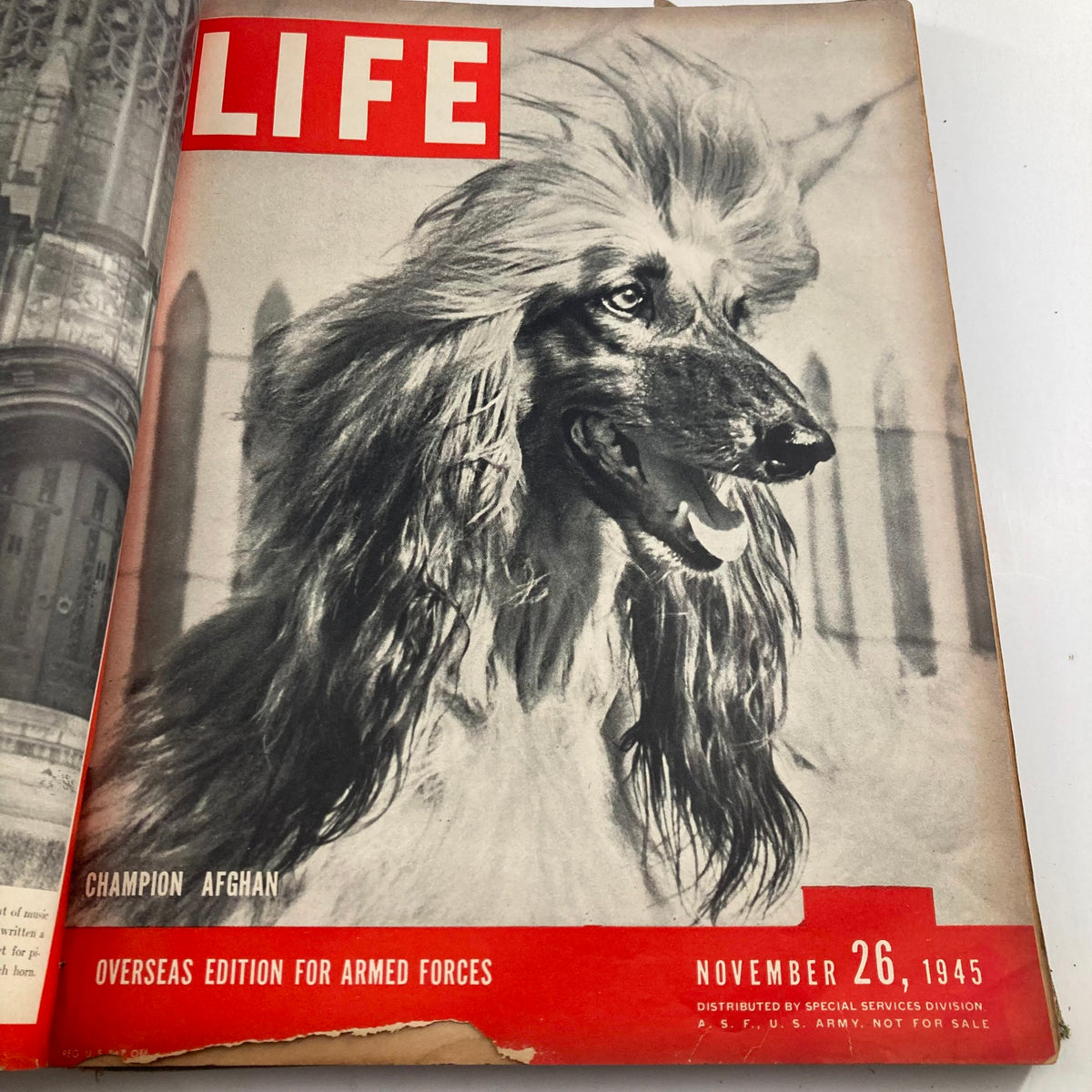 Cover of VTG 1945 Bound Life Magazine featuring an Afghan Hound, dated November 26, 1945, showcasing vintage design and nostalgic imagery.