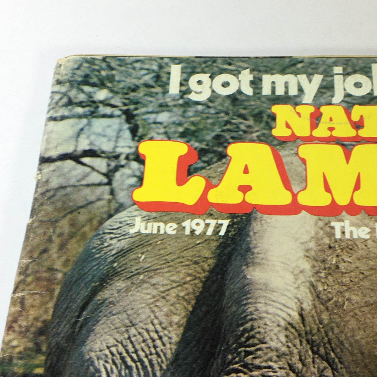 Close-up of National Lampoon Magazine June 1977 Vol 1 #87 cover, highlighting the magazine title and vintage style.