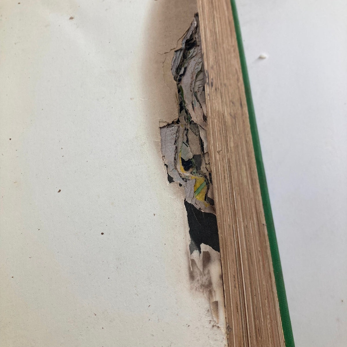 Detailed image of the interior damage of the vintage 1950 Bound Life Magazine collection, depicting torn and weathered pages. This showcases the vintage nostalgia and authentic condition of this historical magazine set.
