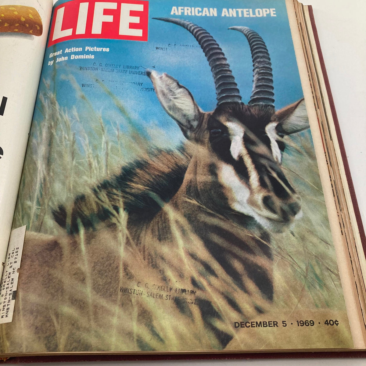 Cover of the Life Magazine dated December 5, 1969, featuring an African Antelope, part of the VTG 1969 Bound Life Magazine October - December Weekly Issue featuring Charles Manson.