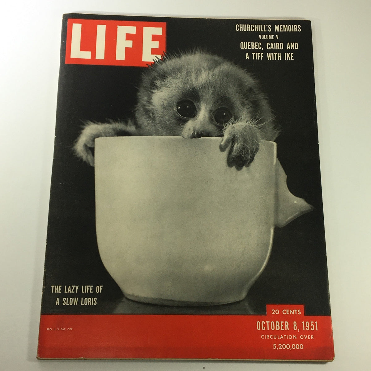 VTG Life Magazine October 8 1951 featuring a cover image of a slow loris peeking over a teacup, highlighting Winston Churchill's memoirs and articles from the 1950s.