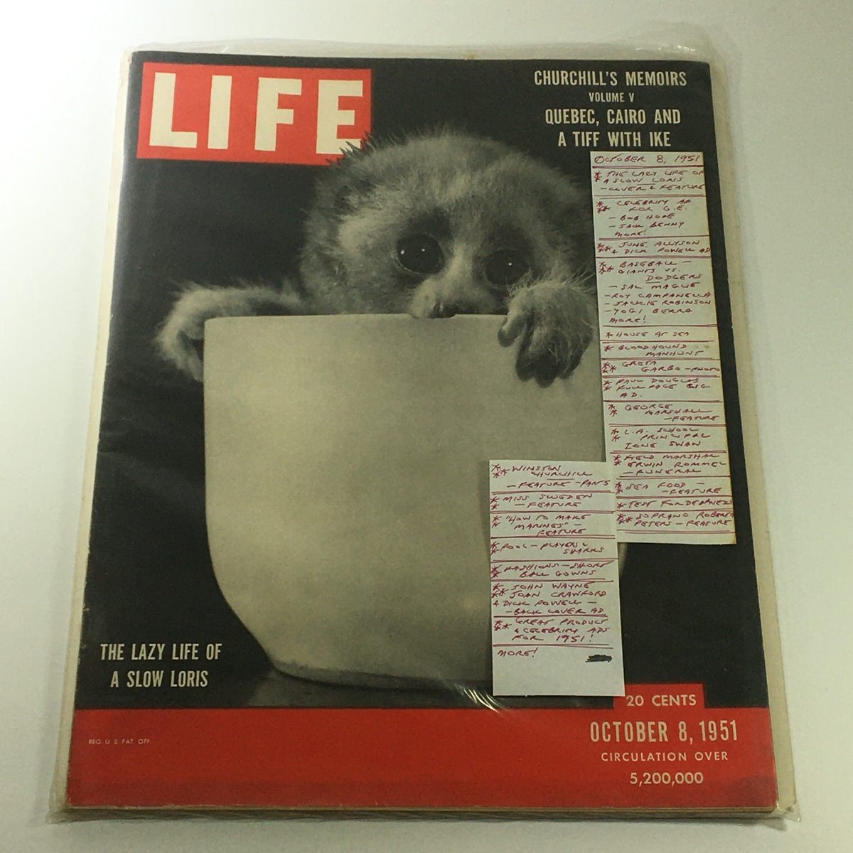 VTG Life Magazine October 8 1951 in protective plastic with a cover image of a slow loris, showcasing Churchill's memoirs and additional features from the time.