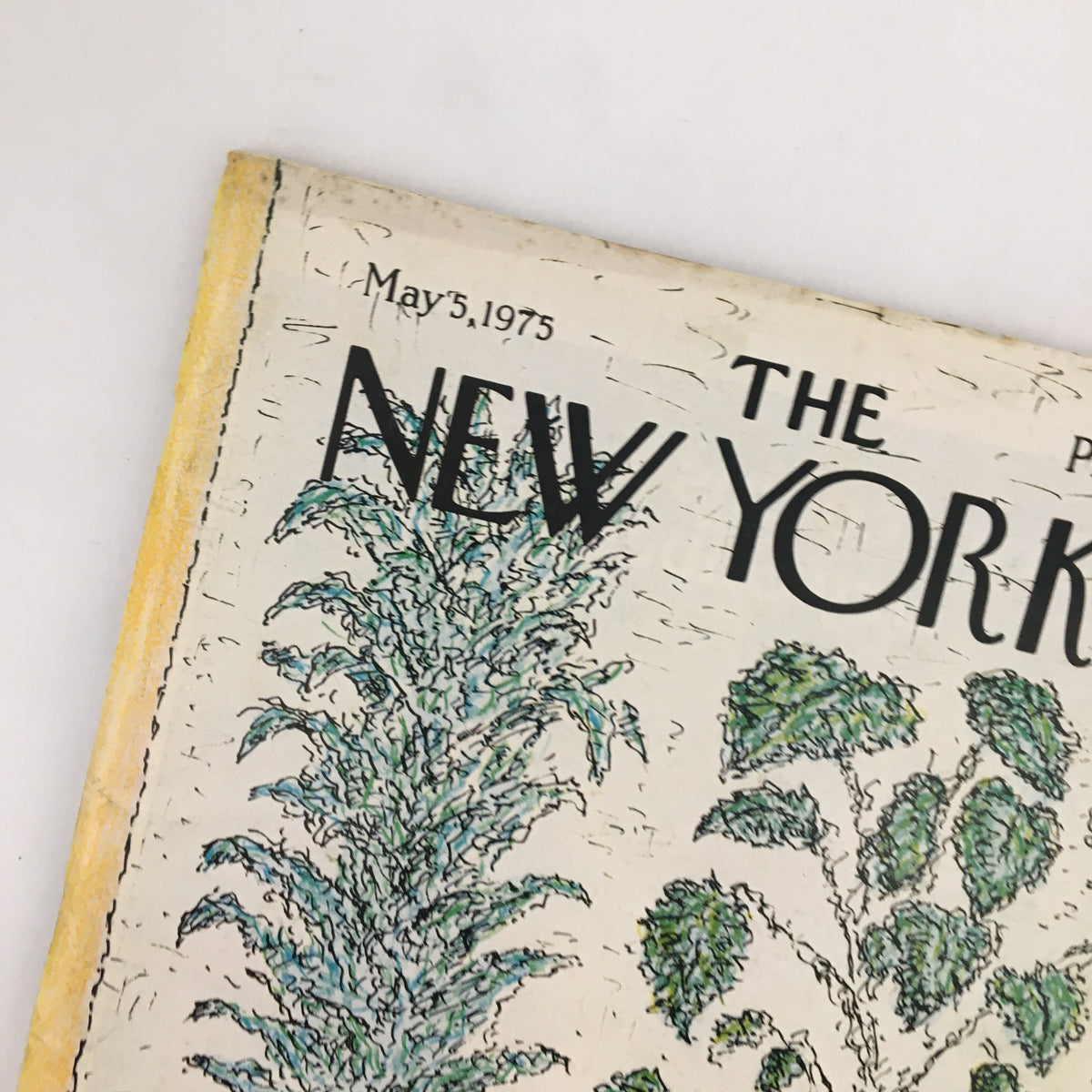 Cover of The New Yorker Magazine May 5 1975 featuring artwork "People Carrying Large Plants" by Edward Koren, showcasing vibrant illustrations of plants and bold typography.