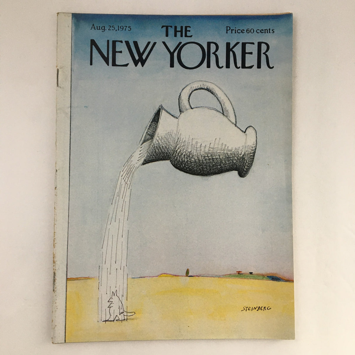 The New Yorker Magazine August 25 1975 full theme cover by Saul Steinberg featuring an abstract illustration of a pitcher pouring water in a desert landscape.