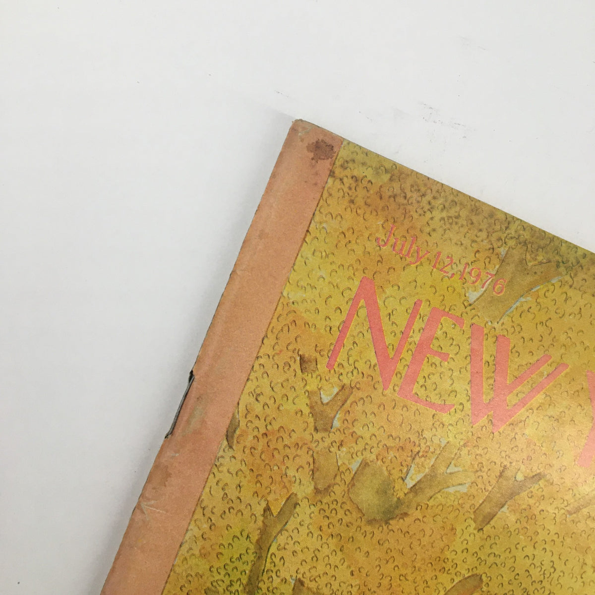 Close-up of the cover of The New Yorker Magazine July 12, 1976, highlighting the title and cover art by Jenni Oliver.
