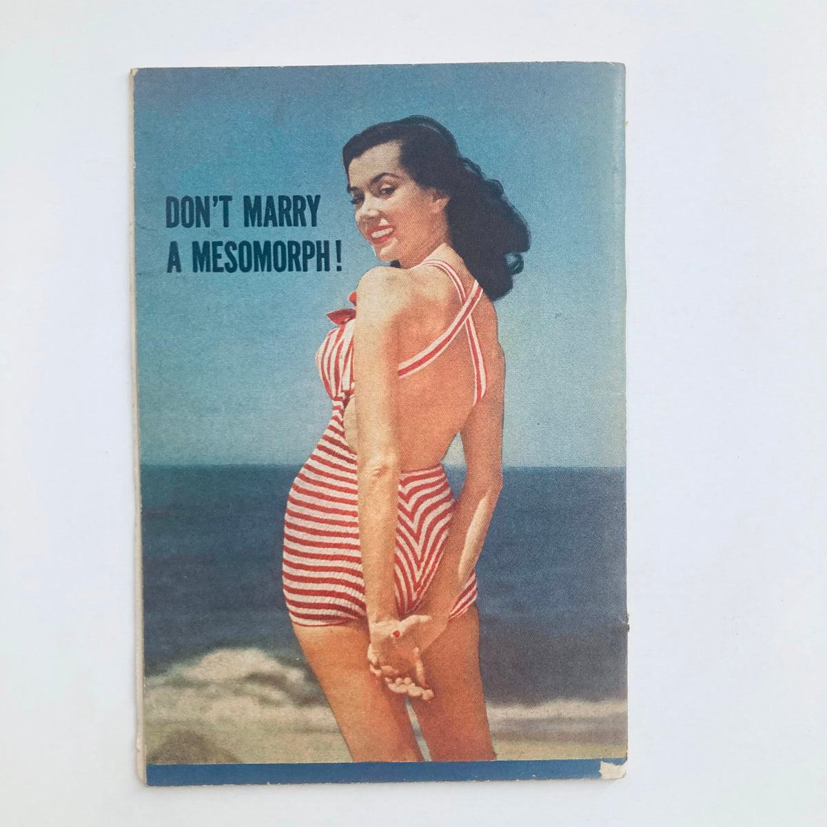 Back cover of VTG Focus Magazine August 1954 with an illustration about marriage advice, emphasizing the humorous and cultural insights from that era.