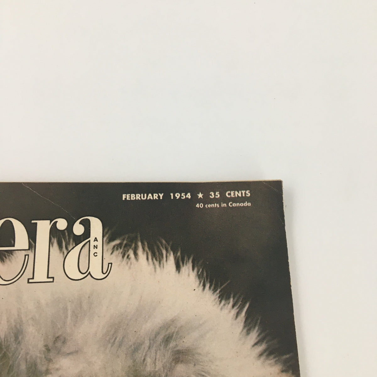 Top section of the VTG U.S. Camera Magazine cover for February 1954, displaying the month, year, and price, complemented by a detailed fluffy texture in the design.