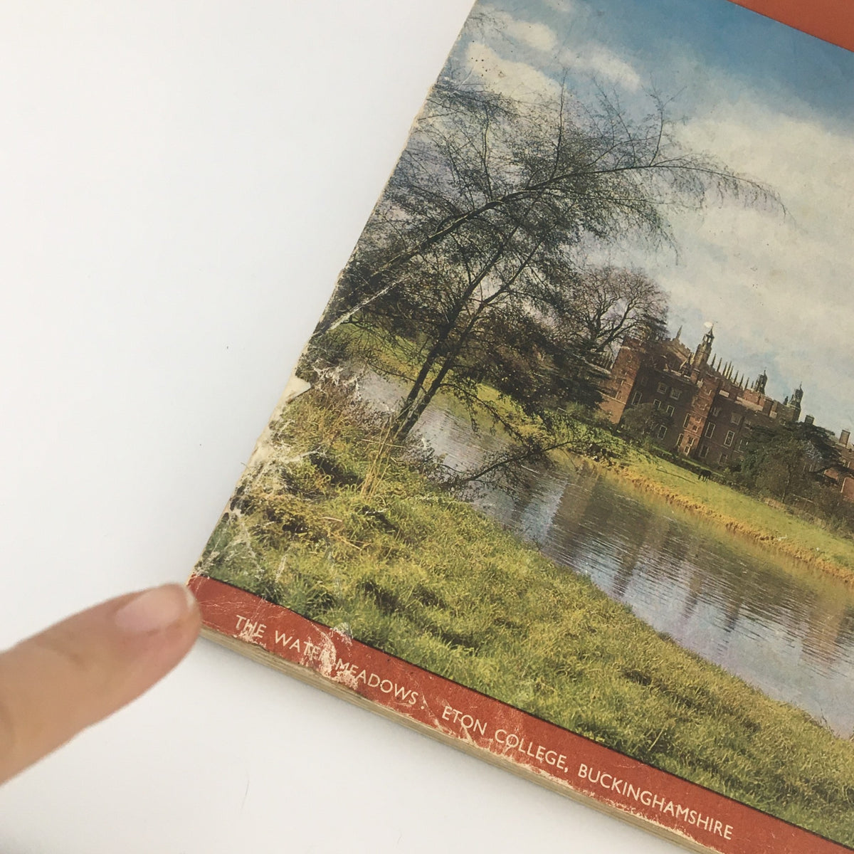 Close-up of the cover of VTG Country Life Magazine October 2, 1969, highlighting the title "The Myth of Mulberry Burr Veneer" and details of The Water Meadows.