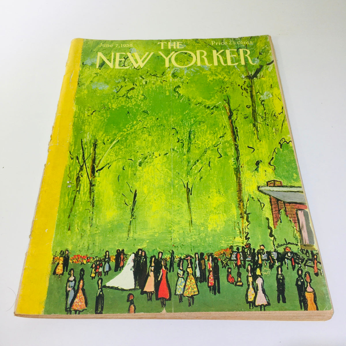 Cover of The New Yorker Magazine dated June 7, 1958 featuring a vibrant illustration by Abe Birnbaum, depicting a lively outdoor gathering with people in colorful attire against a bright green backdrop.