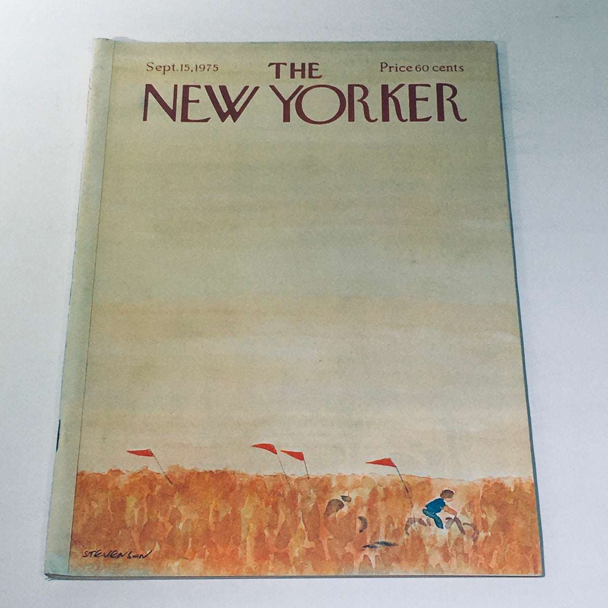 Cover of The New Yorker Magazine September 15, 1975, featuring artwork by James Stevenson, depicting a serene landscape with flags and a child, illustrating the cultural essence of the mid-70s.