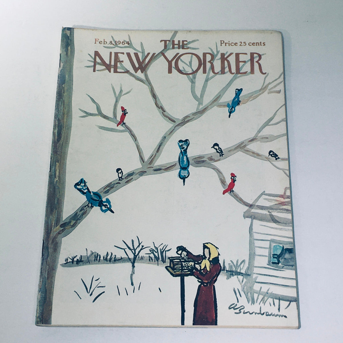 The New Yorker magazine cover from February 8, 1964, designed by Aaron Birnbaum, featuring a whimsical illustration of colorful birds in a tree with a woman filling a bird feeder.