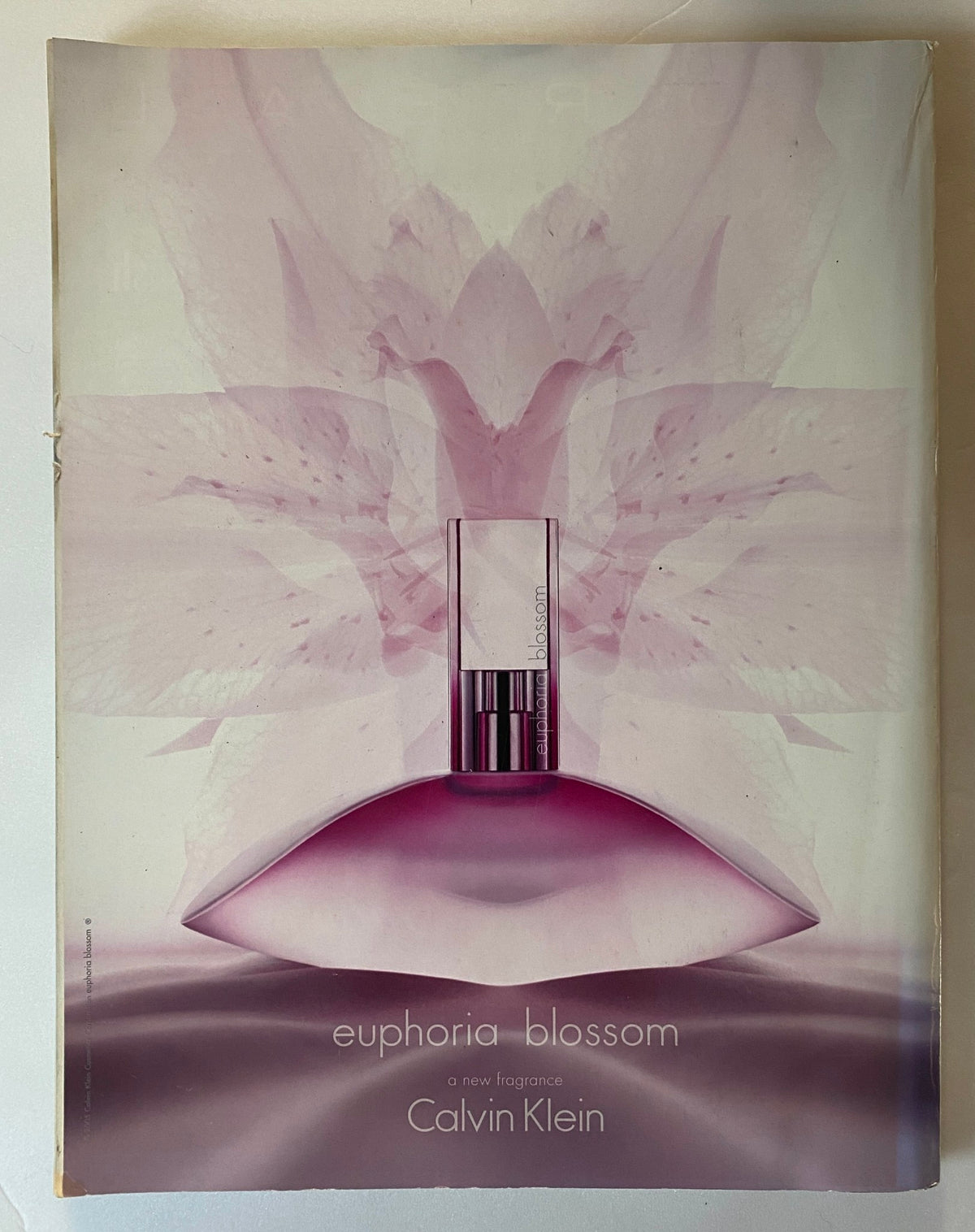 Elle UK Magazine March 2007 Gwen Stefani Cover No Label VG - A beautifully styled advertisement for Calvin Klein's 'Euphoria Blossom' fragrance, featuring an artistic floral design.