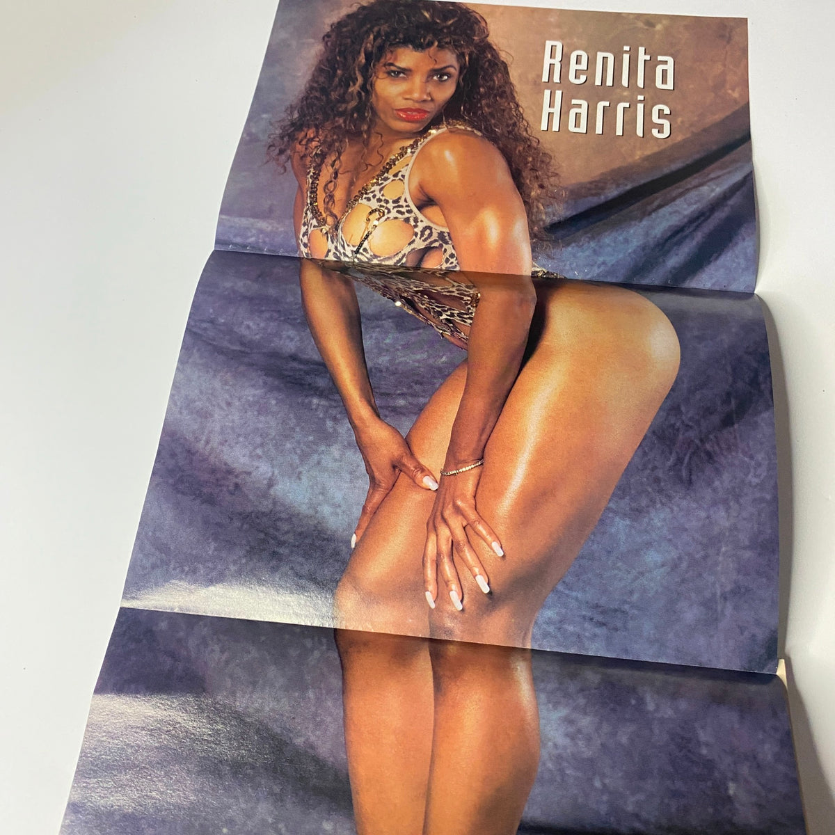 Attached poster from Muscular Development Magazine December 1994 showcasing fitness model Renita Harris.
