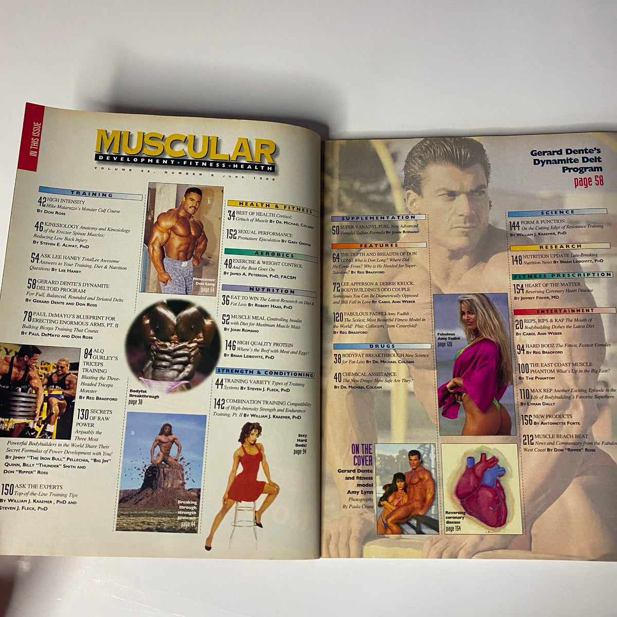 Another interior view of Muscular Development Magazine June 1995, highlighting training tips and fitness contents including Gerard Dente's program.