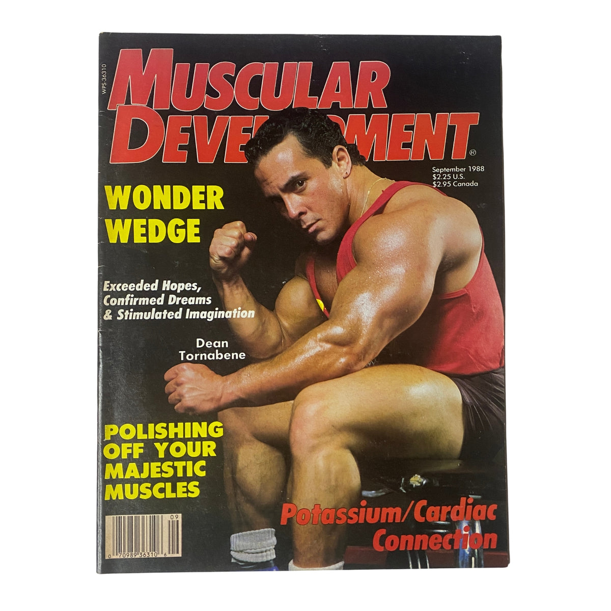 Muscular Development Magazine September 1988 issue featuring Dean Tornabene on the cover, highlighting topics like Potassium-Cardiac Connection and bodybuilding techniques, in very good condition.