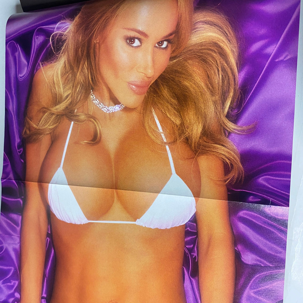 Pull-out poster from Muscular Development Magazine October 2003 featuring Tabitha Taylor in a bikini, accentuating her physique.