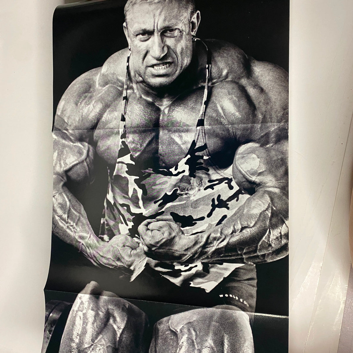 Pull-out poster of Markus Rühl from Muscular Development Magazine December 2003, showcasing his muscular physique in a black and white image, highlighting bodybuilding excellence.