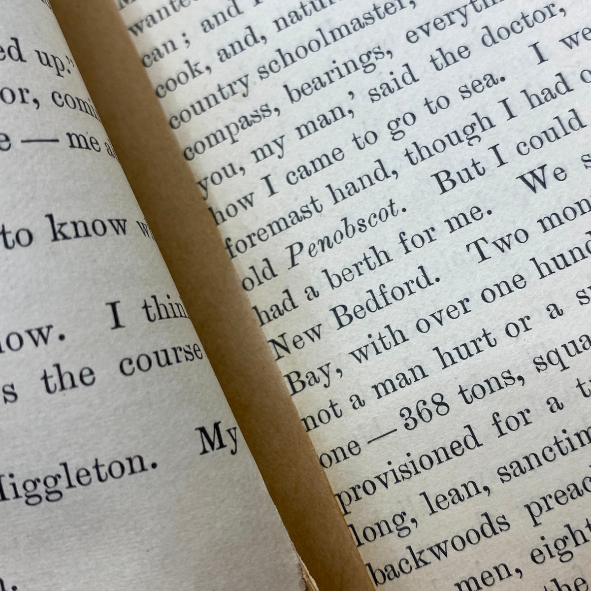 Close-up of text from VTG The Black Cat Magazine May 1897, highlighting the narrative details from 'The Passing of the Polly Ann'.
