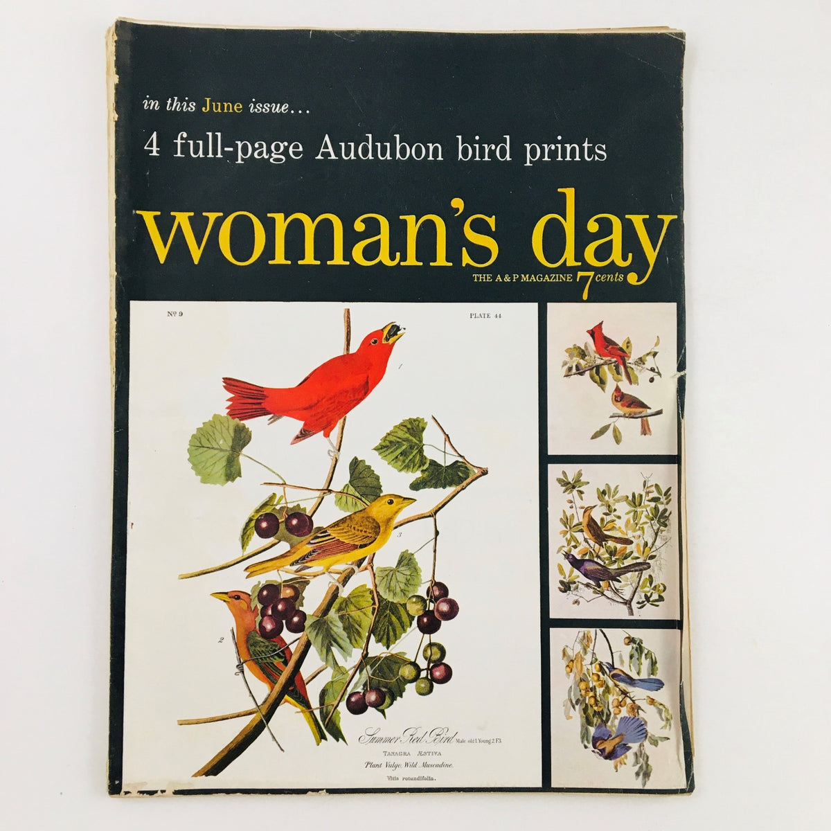 Cover of Woman's Day Magazine June 1954 featuring 4 full-page Audubon bird prints, showcasing vibrant illustrations of various birds with a vintage style.