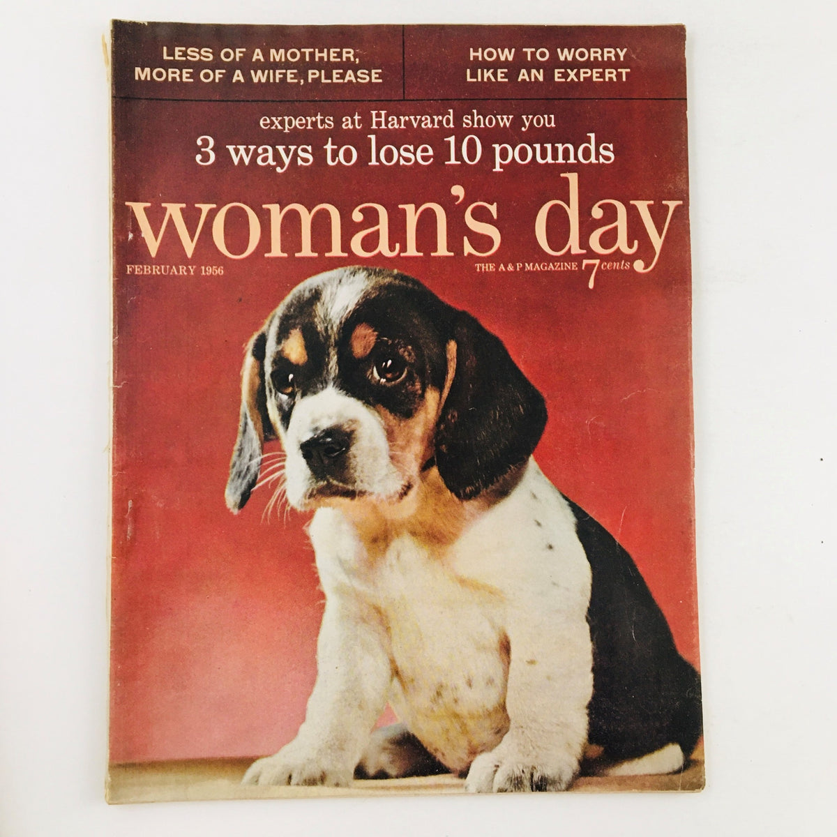 Cover of Woman's Day Magazine, February 1956 edition featuring the title 'Less of a Mother, More of a Wife, Please.' The cover showcases a cute beagle puppy against a vibrant red background, hinting at lifestyle articles and advice from the mid-20th century.