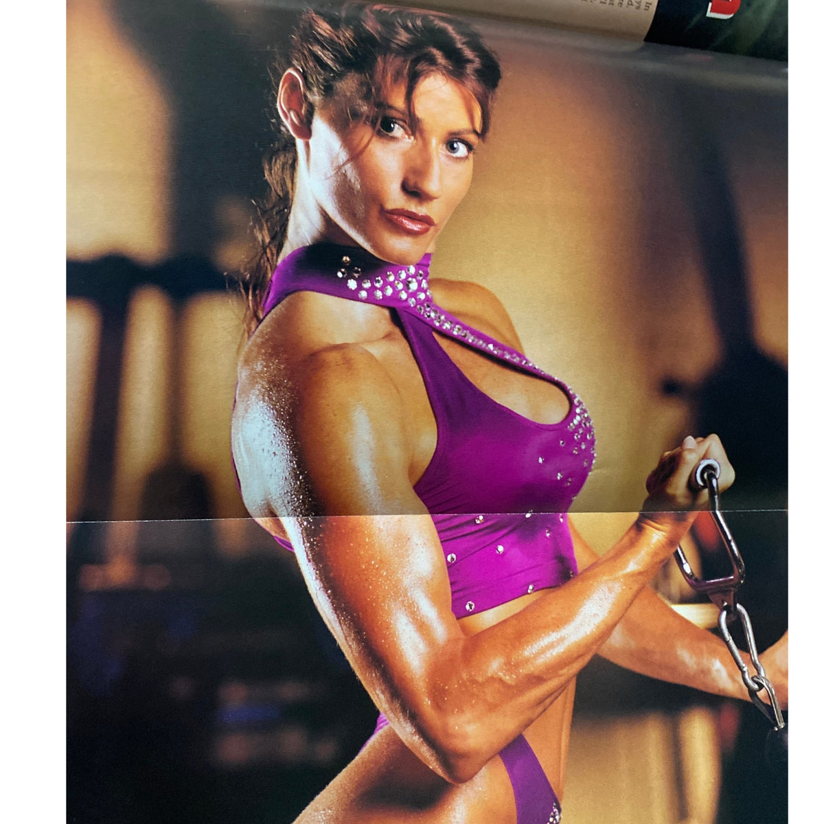 IronMan Magazine January 1994 Vol 53 No. 1 Dennis Newman - Featuring an athletic female model in a purple outfit showcasing muscular definition, representing the inspirational aesthetic of bodybuilding.