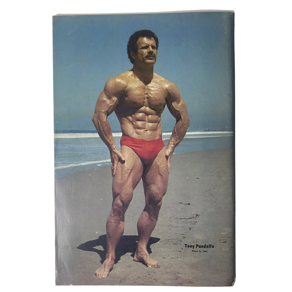 IronMan Magazine September 1980 Vol 39 No. 6 showcasing Tony Pandolfo posing on the beach, highlighting the bodybuilding culture of the era.