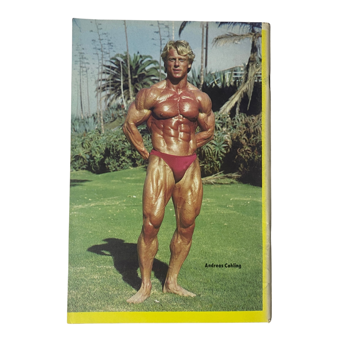 Back cover of IronMan Magazine September 1982 Vol 41 No. 6 showcasing Andreas Cahling, a prominent bodybuilder, standing in a striking pose.