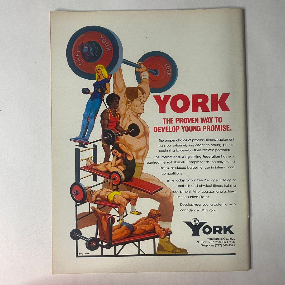 Promotional advertisement in Strength & Health Magazine July 1981 for York Barbell Co, showcasing fitness equipment and training methods.