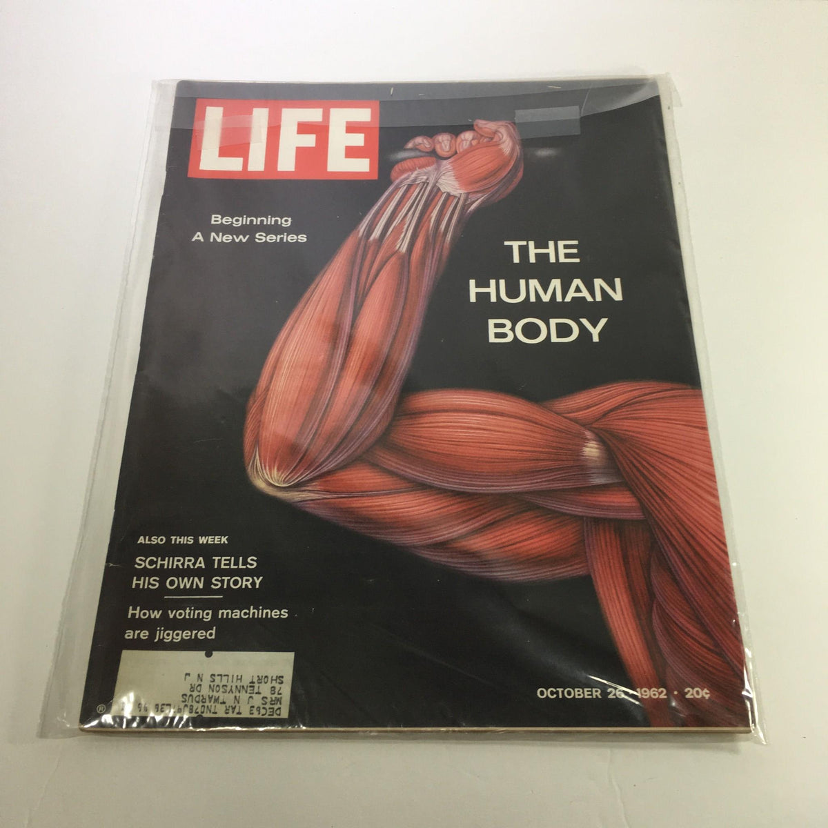 Cover of VTG Life Magazine from October 26, 1962, featuring a detailed illustration of a muscular arm with the title 'THE HUMAN BODY,' indicating the beginning of a new series.