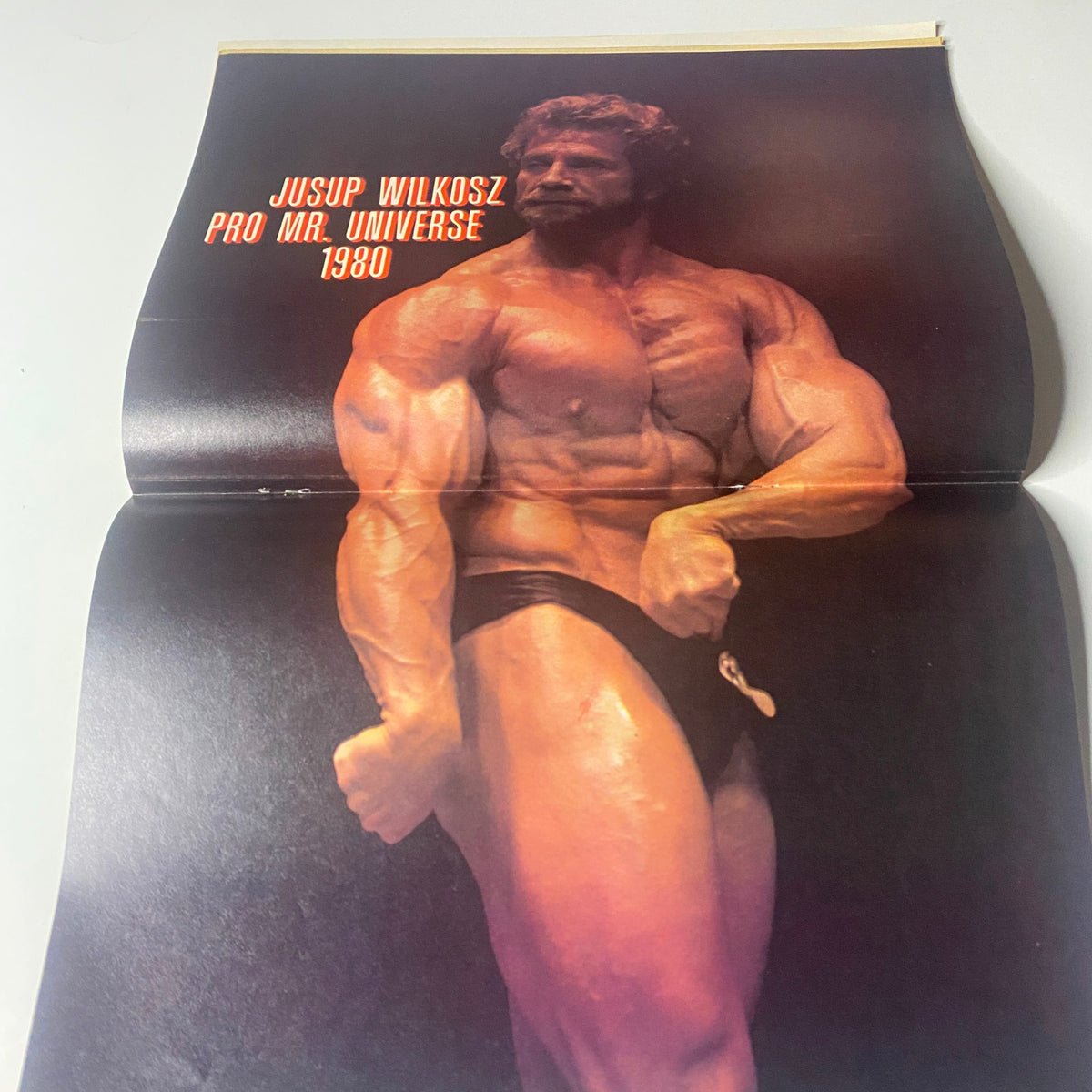 Color centerfold from Muscle & Bodybuilder Magazine May 1981 featuring Jusup Wilkosz, Pro Mr. Universe 1980, showcasing his physique in a dynamic pose.