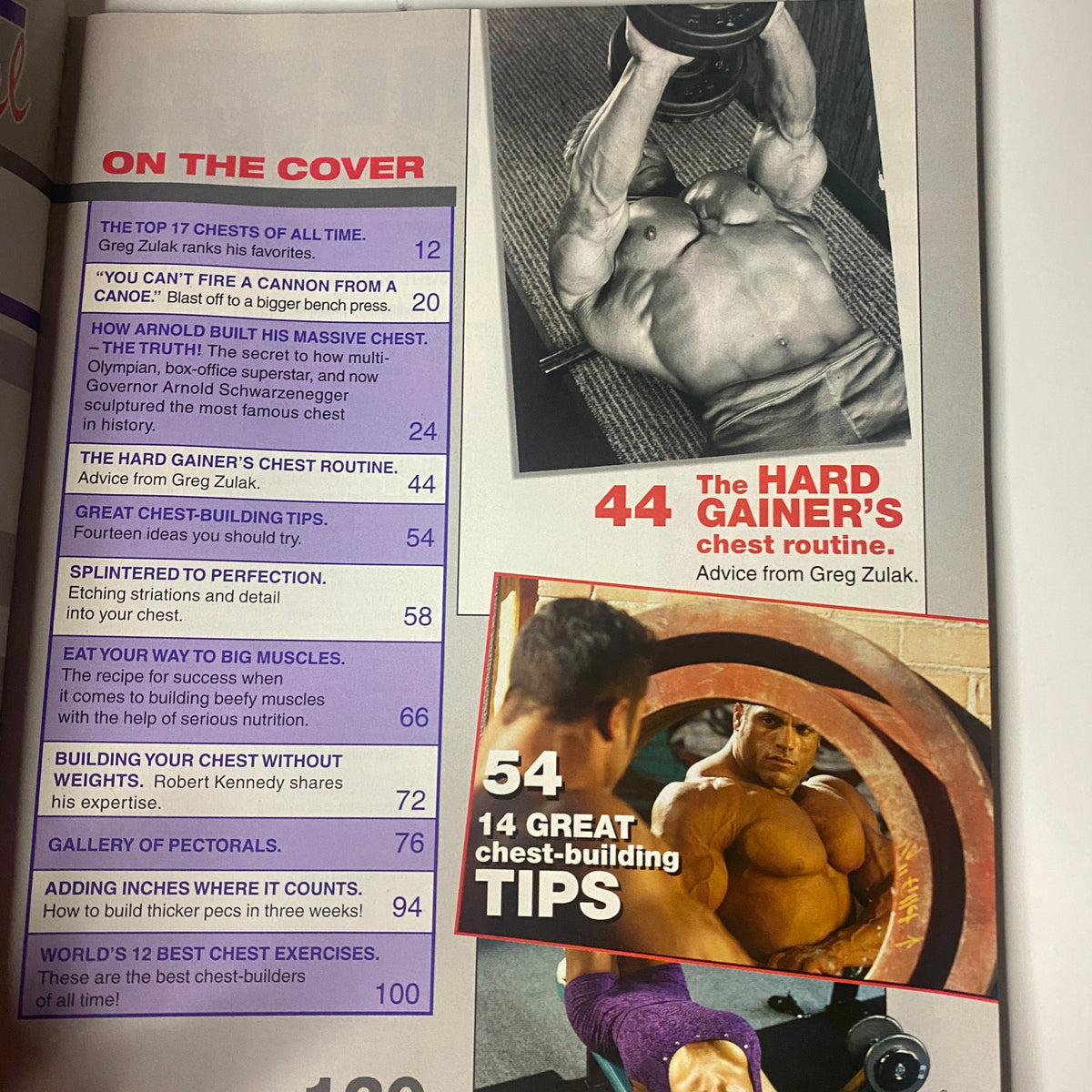 Inside page of MuscleMag International Presents Fall 2004 Chest Building Special highlighting various articles, including 'The Hard Gainer's Chest Routine' and 'Adding Inches Where It Counts.' Features graphics showcasing workout tips and advice for chest development.