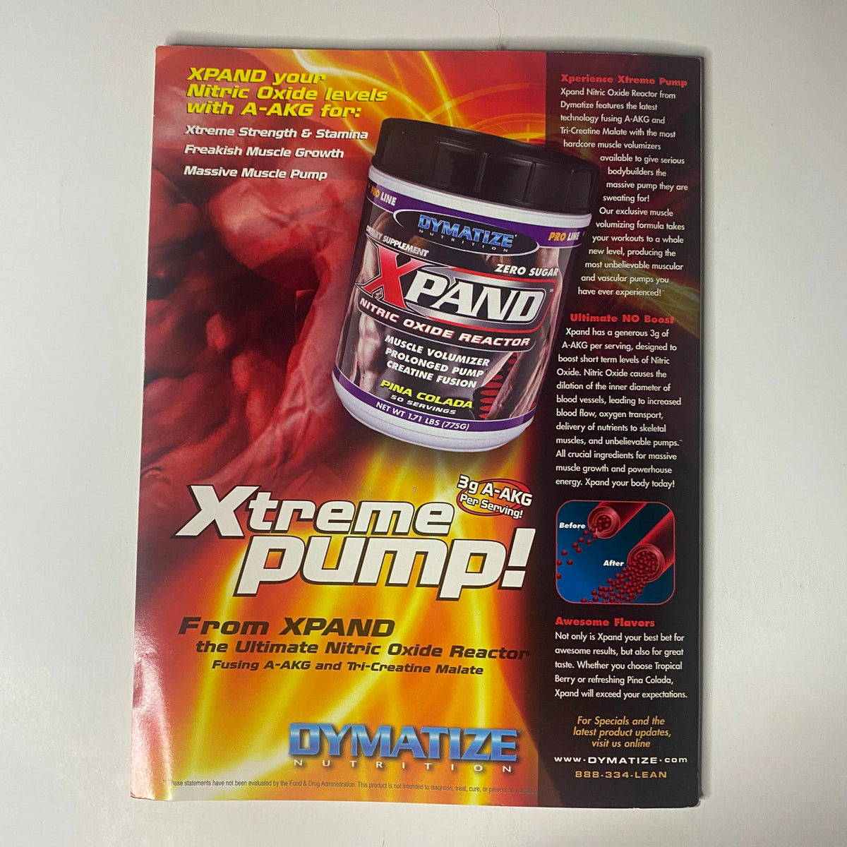 Advertisement for Dymatize XPAND, featured in the MuscleMag International Presents Fall 2004 Chest Building Special. Highlights include product benefits such as enhancing muscle pump and nitric oxide levels for optimal workout performance.