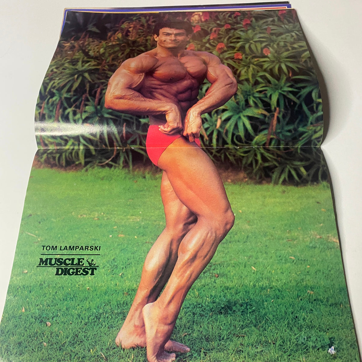 Centerfold of Muscle Digest Magazine June 1982 showcasing Tom Lamparski in a bodybuilding pose, emphasizing physique and form in a lush outdoor setting.