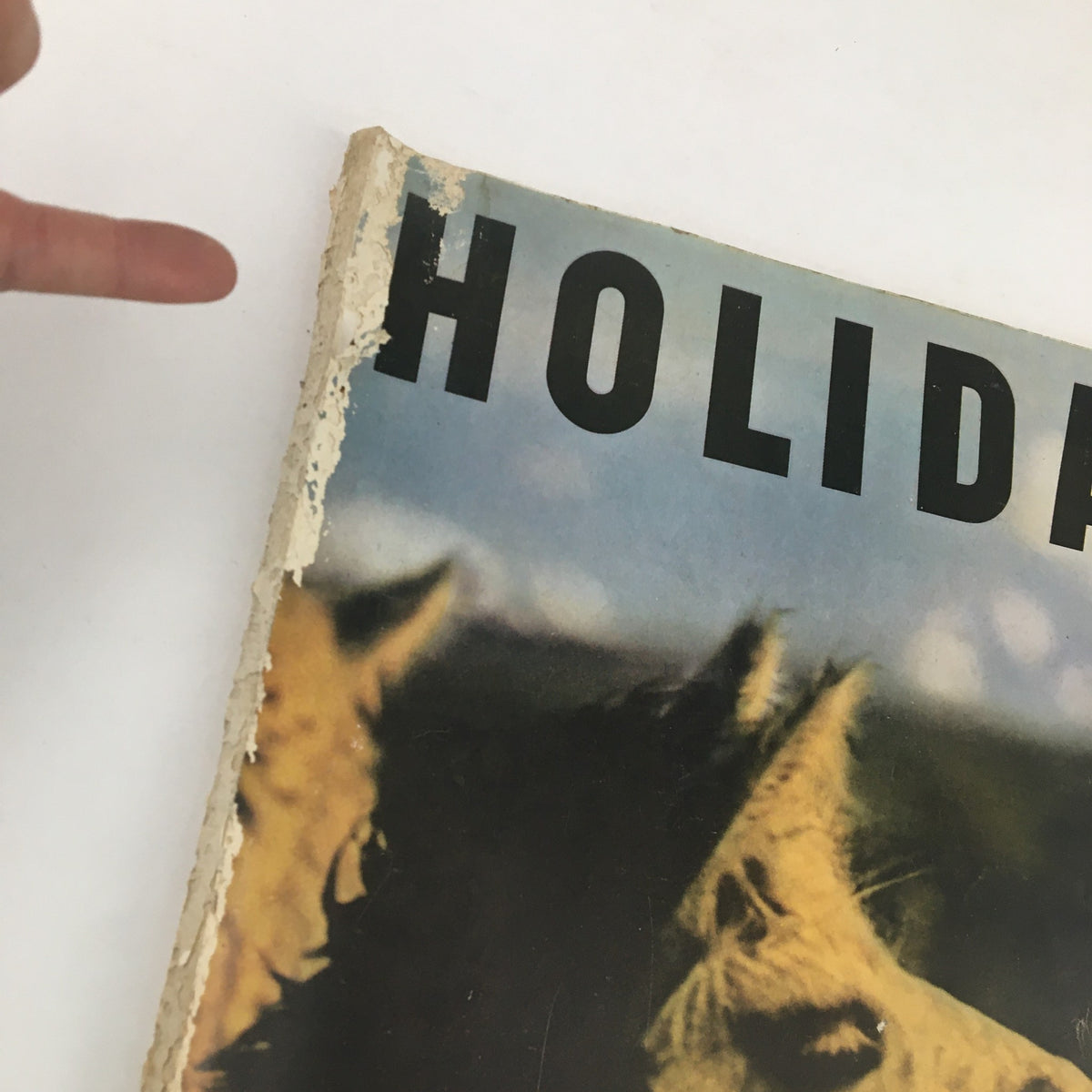 Side view of the Holiday Magazine November 1956 showing the partially damaged spine and cover, featuring the Illama cover art, reflecting its vintage charm.