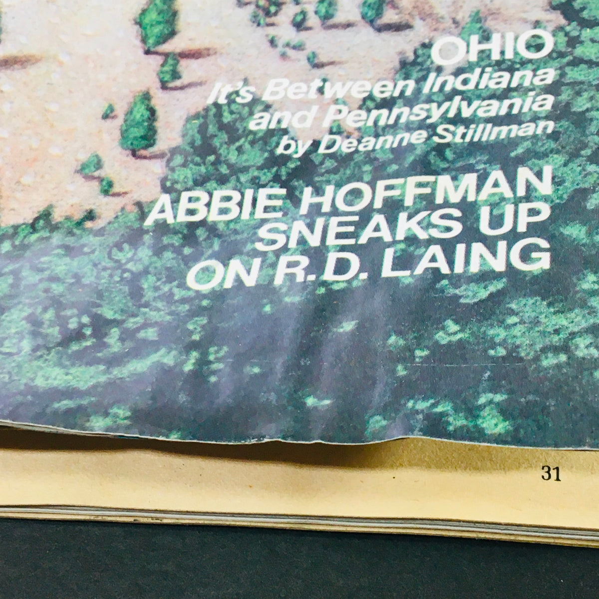 Close-up view of an article from High Times Magazine November 1979 featuring Abbie Hoffman and Ohio, It's Between Indiana and Pennsylvania by Deanne Stillman.