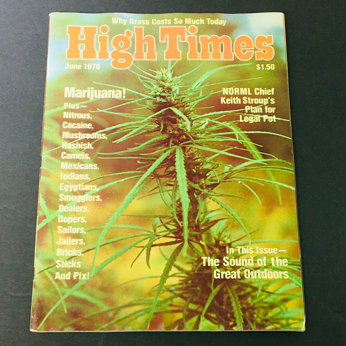 Cover of Vintage High Times Magazine June 1976 featuring marijuana plant, title 'High Times' and the headline 'NORML Chief Keith Stroup's Plan for Legal Pot'.
