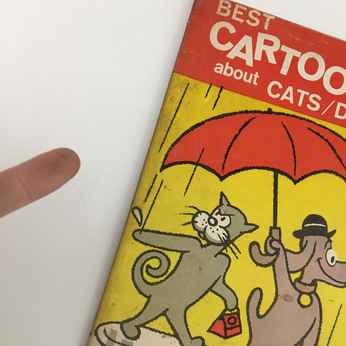 Best Cartoons About Cats / Dogs 1958 Lost & Found Section No Label