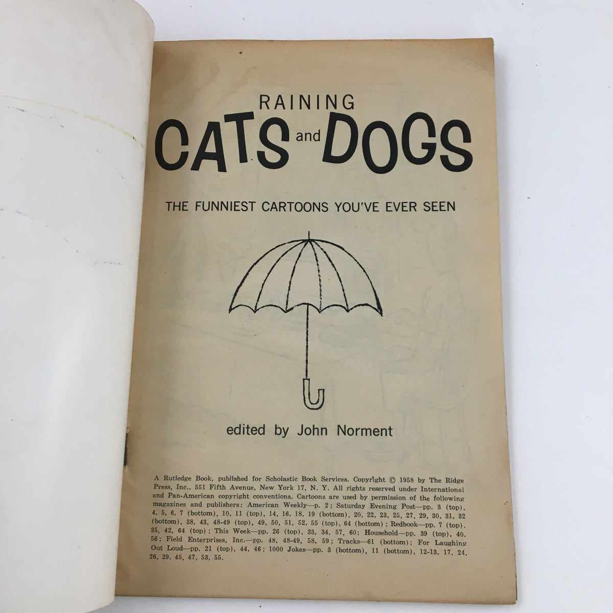 Best Cartoons About Cats / Dogs 1958 Lost & Found Section No Label