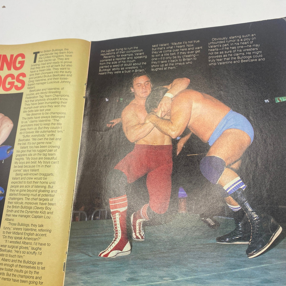 WWF Program 1985 No. 132 capturing a wrestling match scene with the British Bulldogs showcasing their athleticism and iconic wrestling style.