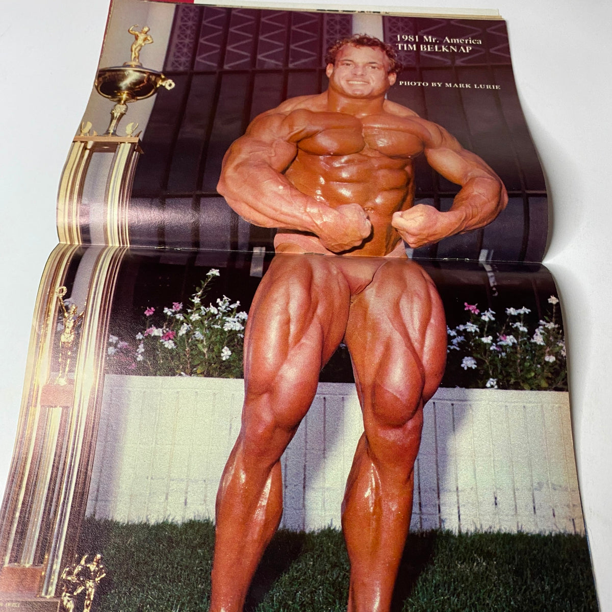 Muscle Training Illustrated 1982 Vol 2 Timothy Belknap showcasing the 1981 Mr. America Tim Belknap in a striking pose, highlighting his impressive physique.
