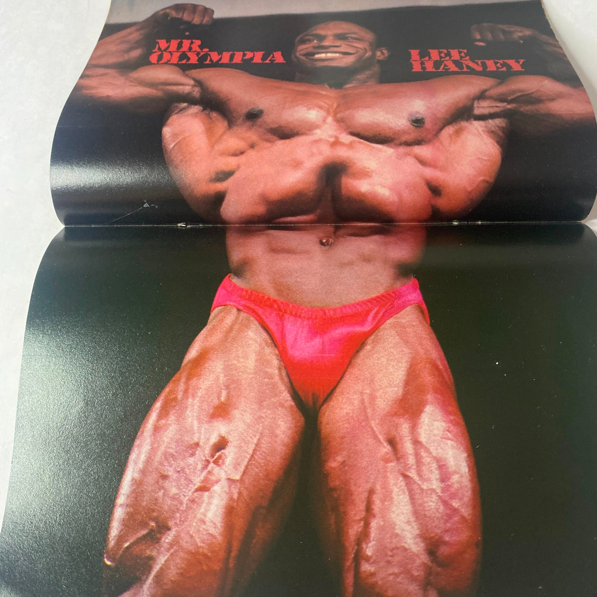 Centerfold image of Lee Haney, Mr. Olympia, featured in Muscle Up Magazine Summer 1985 Vol 7 No 33 showcasing his impressive physique.