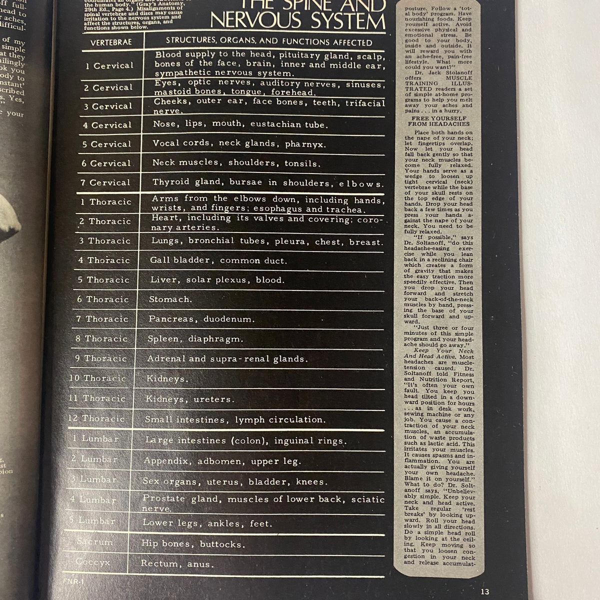 Interior page from MTI's Fitness and Nutrition Reports Winter 1982 detailing the spine and nervous system, highlighting various body vertebrae and their functions.